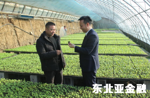 灯塔农商银行1.75亿元资金助农增收
