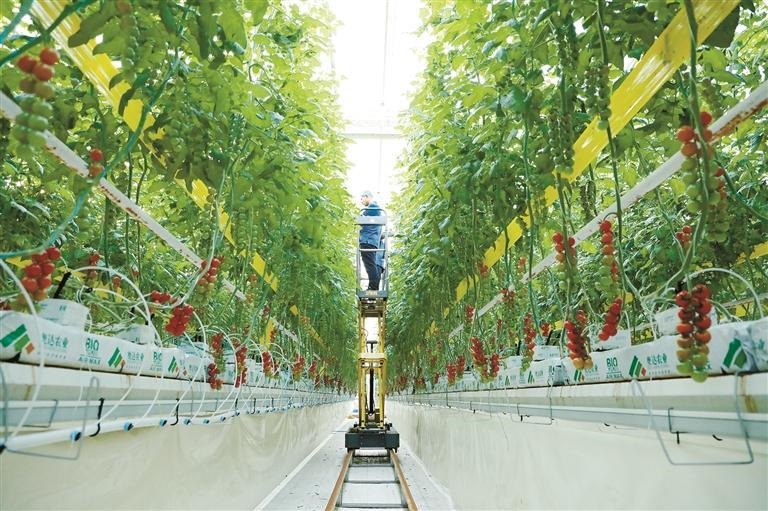 <?php the_title();?>